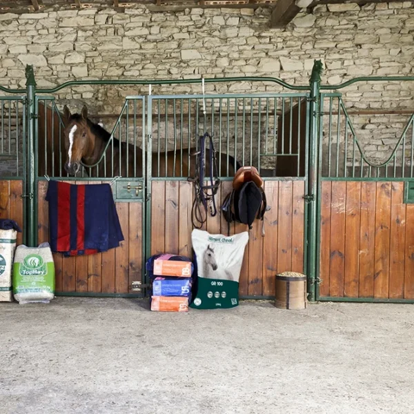 Aliment granulé pour chevaux MG PROT - Complément de fourrage – Image 2