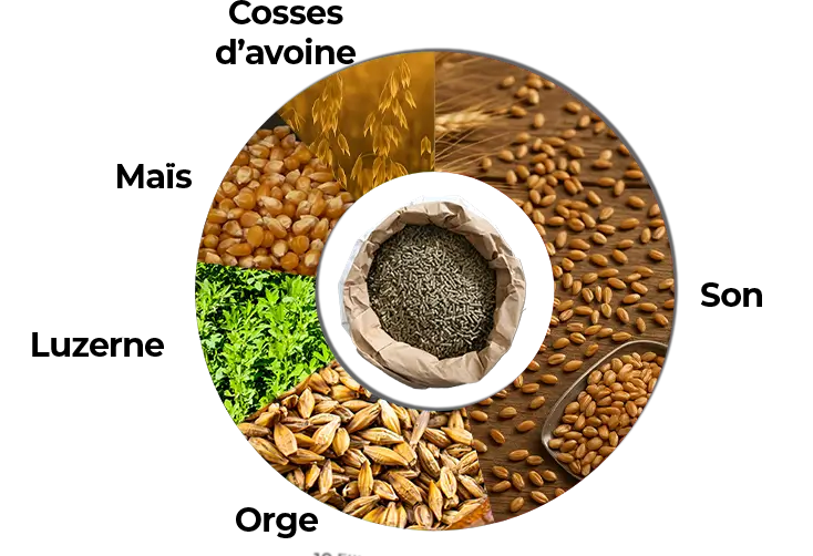 Aliment granulé chevaux premium