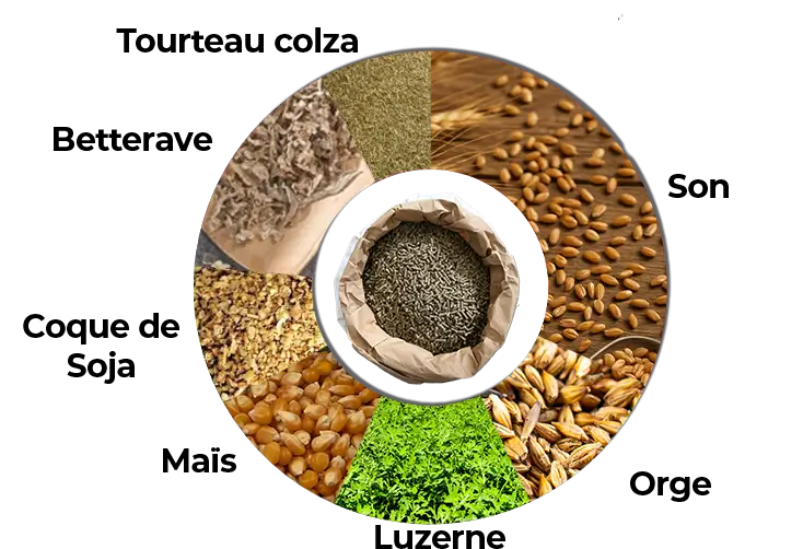 MGSPORT Aliment complémentaire pour chevaux.